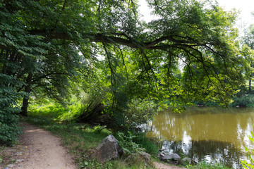 Beautiful solitude path with old big Trees about River Sazava in Central Czech