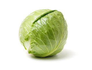 cabbage on white background