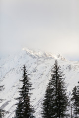 Obraz premium Alaskan winter view.