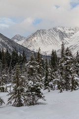 Alaskan winter view.