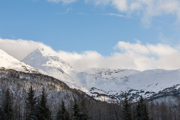Fototapeta na wymiar Alaskan winter view.