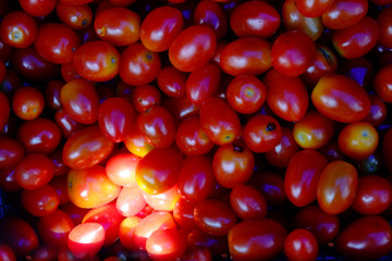 Red Tomato pattern for background.