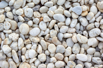 Background of the white pebbles