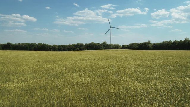 Zoom in to wind turbine in breezy meadow