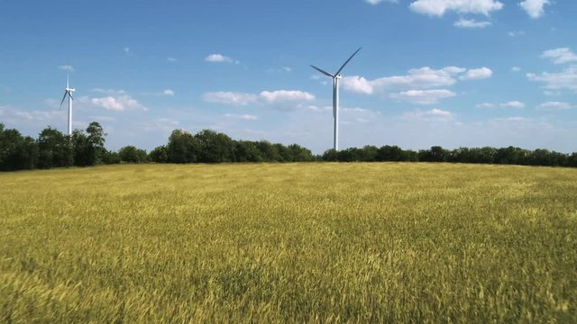 Zoom in to wind turbines in breezy meadow