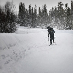 cross country skier in harsh weather