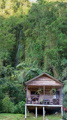 Cabaña de madera entre montañas  bosque verde