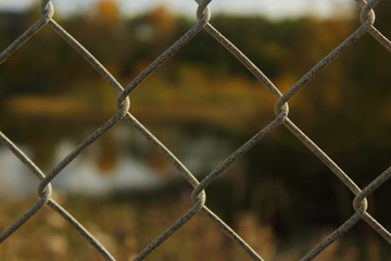metal mesh on nature background