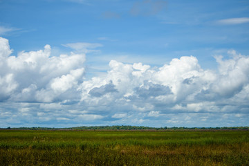 View across the wetlands with a cloudy sky