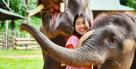 female thai tourist having fun with baby and mother elephant at sanctuary in thailand
