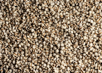 dried pearl barley close up view..