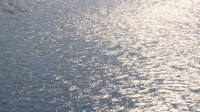 雄大な吉野川の流れ