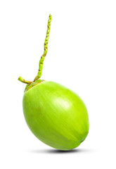 Green coconut on the white background