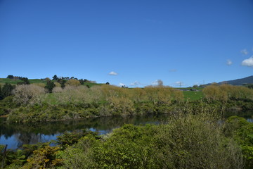 Fototapeta na wymiar The Landscape in North Island, New Zealand