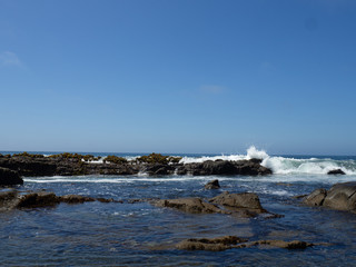 The Ocean