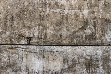 weathered concrete texture