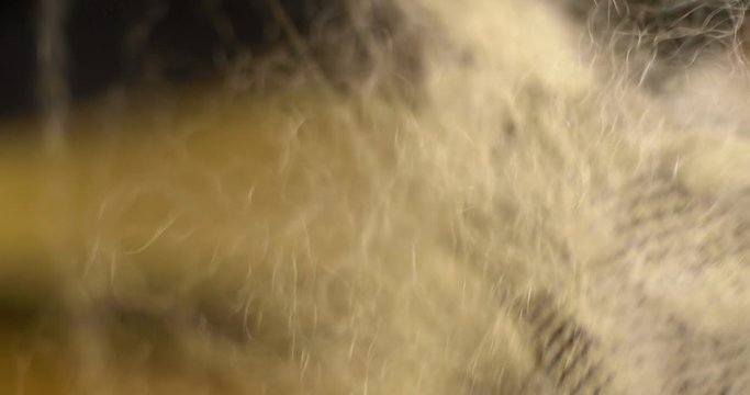 Kneading wig by a hairstylist. The skill of a true professional is shown in the way he kneads this wig. A close up of his hands show his precision.