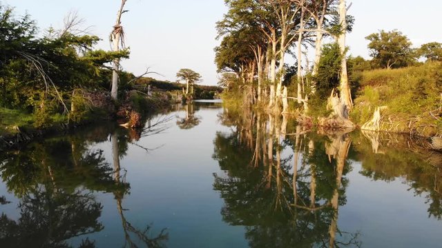 Flying away from cypress trees at sunset 5' over very calm river; lots of reflections from trees visible. - Aerial footage of the Blanco river in Wimberly, TX