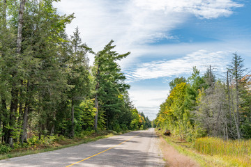 Fototapeta na wymiar Rural Road early fall landscape