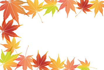 紅葉　もみじ　秋　背景