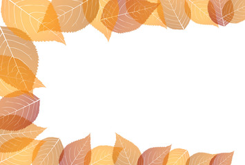 紅葉　もみじ　秋　背景