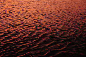 夕陽に染まった海