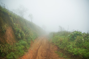 The mountain path way in fog,trail running path
