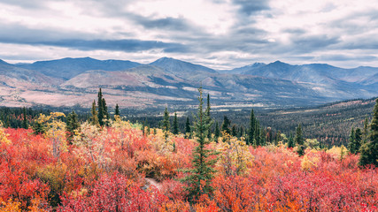 autumn in the mountains of Yukon Tombstone National Park