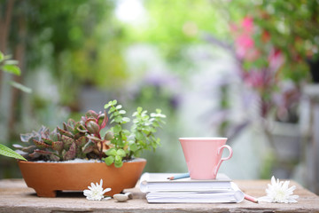 Pastel pink cup with white flower and putdoor plant with pot  and books at outdoor 