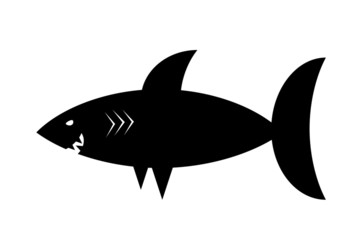 vector illustration of shark