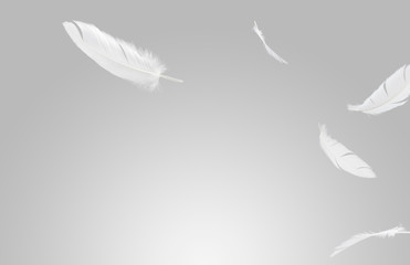 abstract, soft white feathers floating in the air, grey background