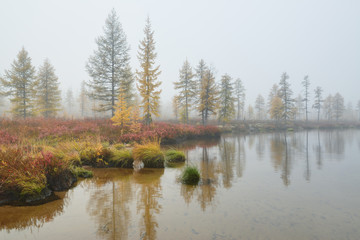 Lake in the forest, Magadan region, Kolyma, Jack London lake