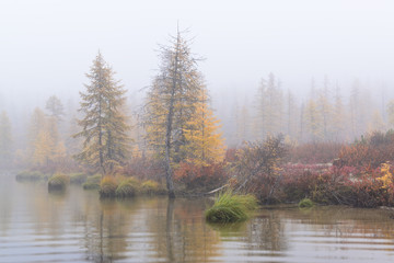 Fototapeta na wymiar Lake in the forest, Magadan region, Kolyma, Jack London lake