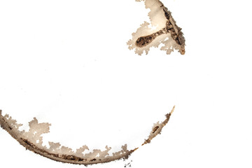 Coffee tea stain on a white background, abstract.