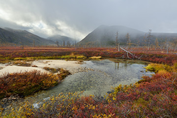 Autumn in the park, Magadan region, Kolyma, Jack London lake
