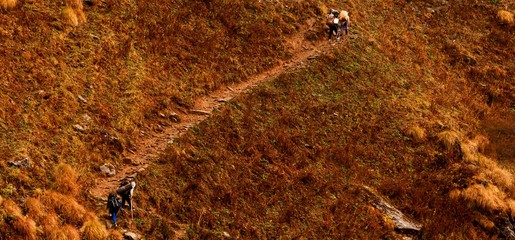 people trekking on a small path in a dry mountain