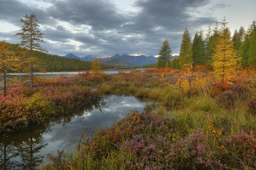 Naklejka na ściany i meble Autumn landscape with river and trees, Magadan region, Kolyma, Jack London lake