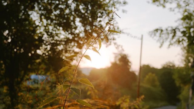 4k stock footage by Niclas Dreier Creative