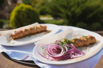 juicy kebab with sweet onions on a white platter