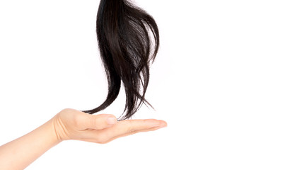Close up woman hand with  long hair after cutting to donate to cancer patients to make wigs. Isolated on white background. Donate hair for cancer patients' concepts.