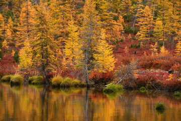 Magadan region, Kolyma, Jack London lake