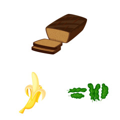 Vector illustration of tropical and ripe sign. Collection of tropical and potassium stock symbol for web.