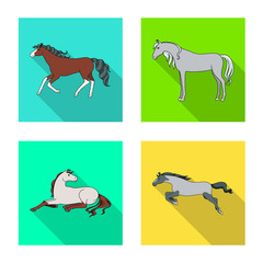 Vector illustration of breed and equestrian logo. Collection of breed and mare vector icon for stock.