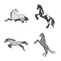 Vector illustration of farm and riding logo. Set of farm and equestrian stock symbol for web.