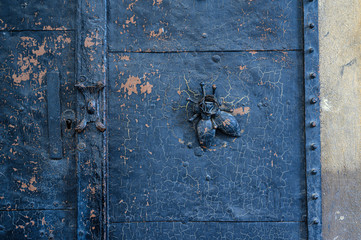 Old metal door detail