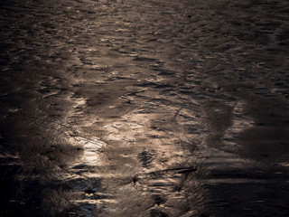 Marée basse à fort mahon