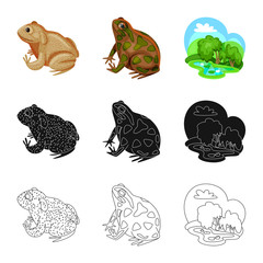 Vector design of wildlife and bog symbol. Collection of wildlife and reptile stock vector illustration.