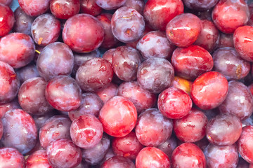 Unfolded berry plum. Lots of plums. Seasonal berry.