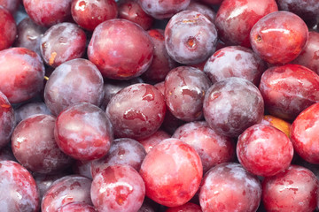 Unfolded berry plum. Lots of plums. Seasonal berry.