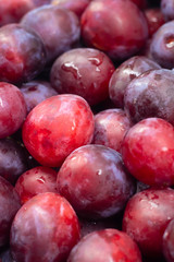 Unfolded berry plum. Lots of plums. Seasonal berry.